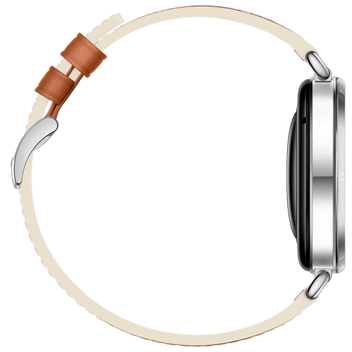 Huawei Watch GT 6 41mm Silver (Brunt Remm) – Huawei