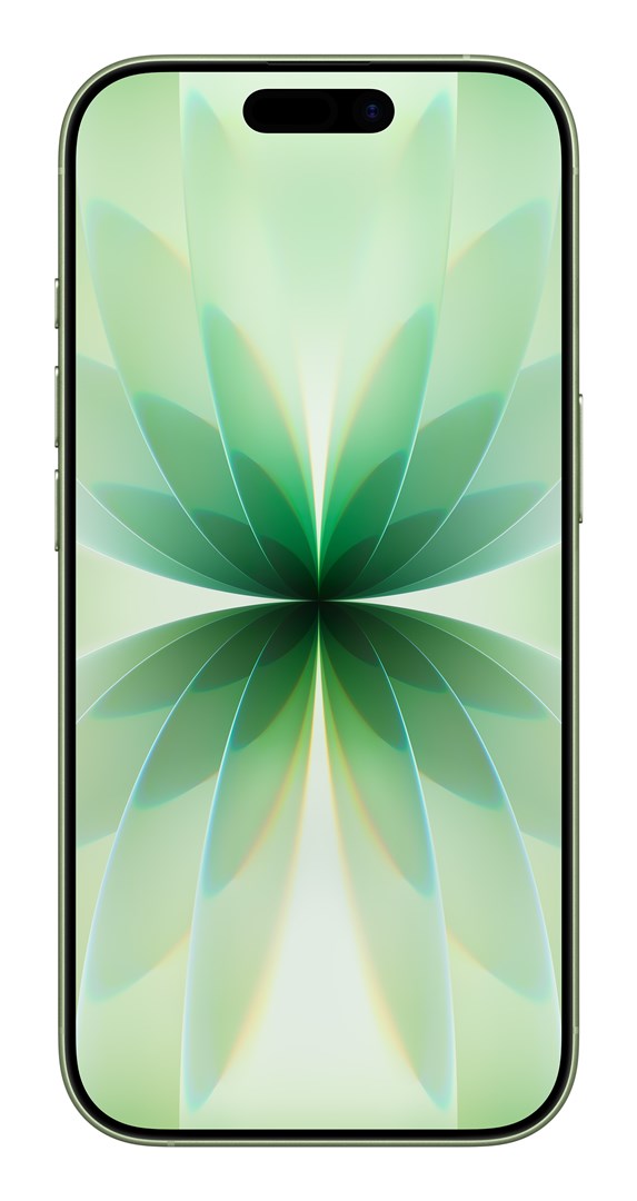 Apple iPhone 17 16 cm (6.3") Dual SIM iOS 26 5G USB Type-C 256 GB Sage