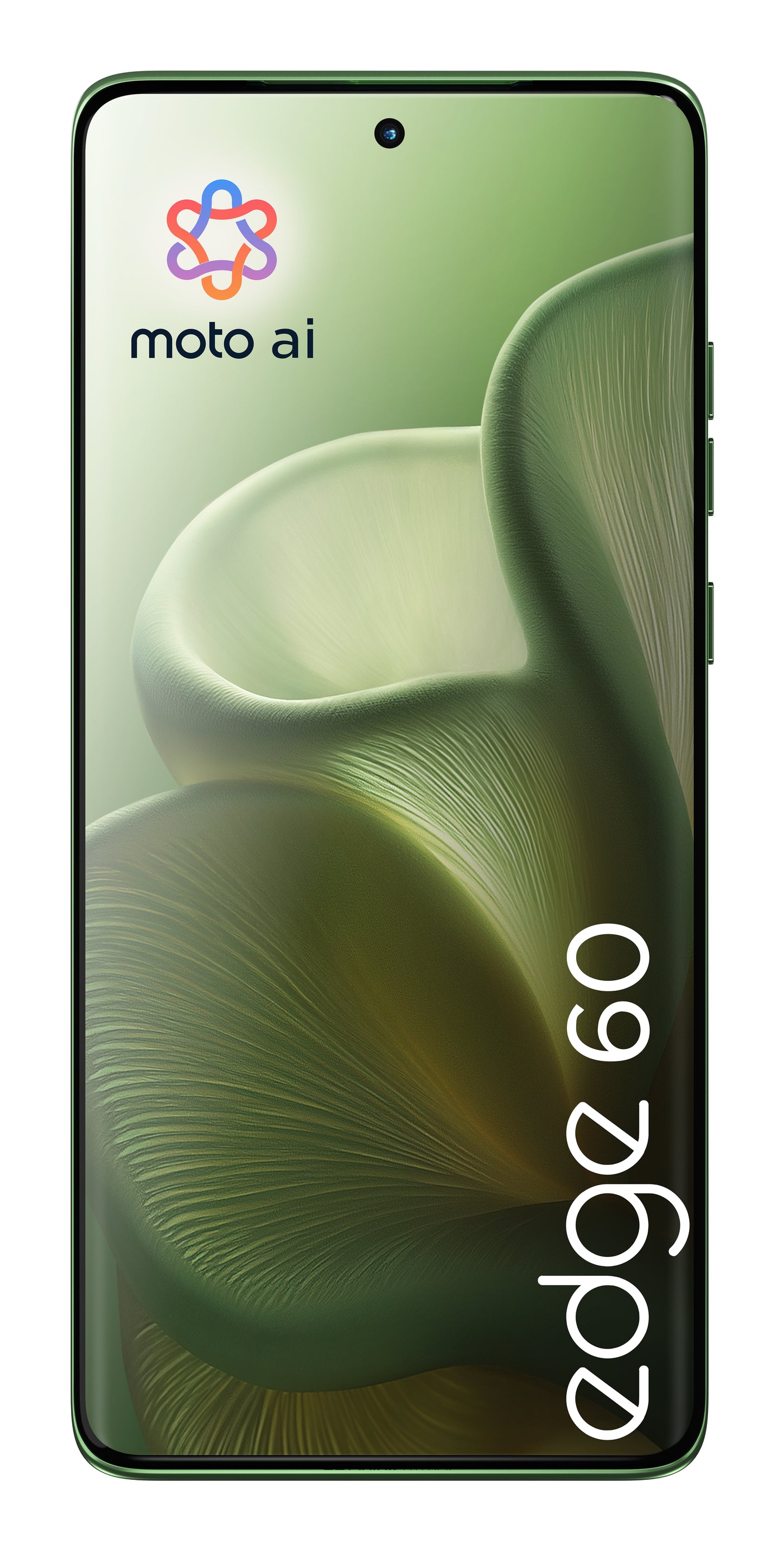 Motorola edge 60 16,9 cm (6.67") Dubbla SIM-kort Android 15 5G USB Type-C 12 GB 256 GB 5200 mAh Grön