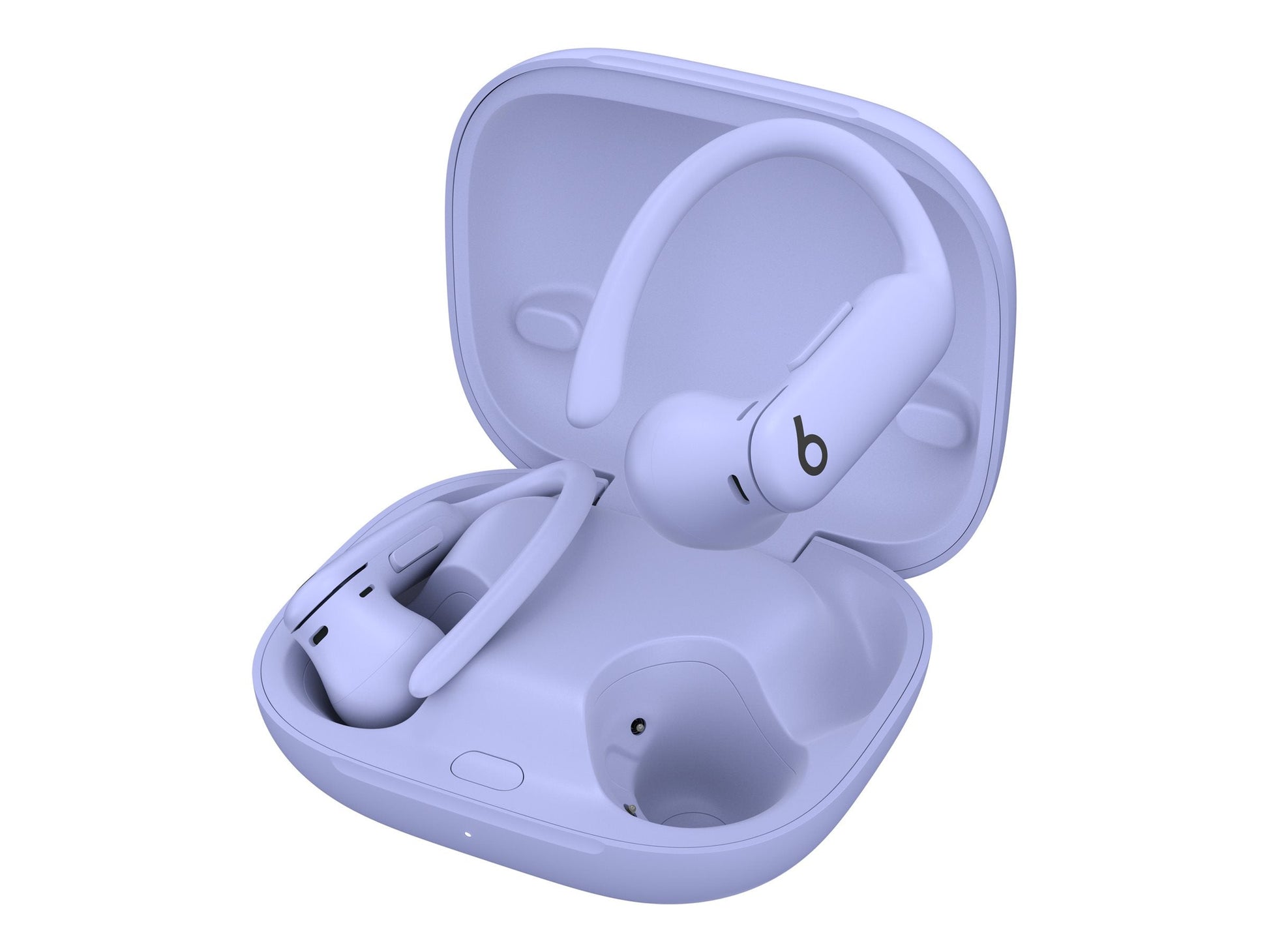 Beats Powerbeats Pro 2 Purple – Beats