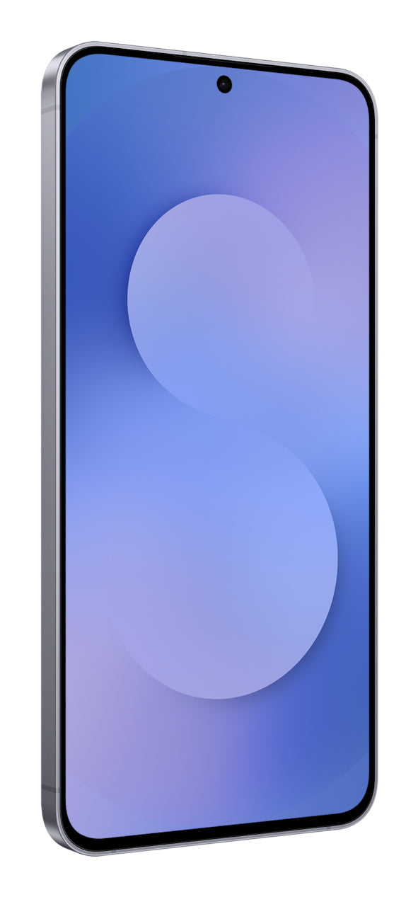 Samsung Galaxy S25 FE 17 cm (6.7") Dubbla SIM-kort Android 16.0 5G USB Type-C 8 GB 128 GB 4900 mAh Marinblå